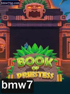 Descubra o Envolvente Mundo de BookOfPriestess